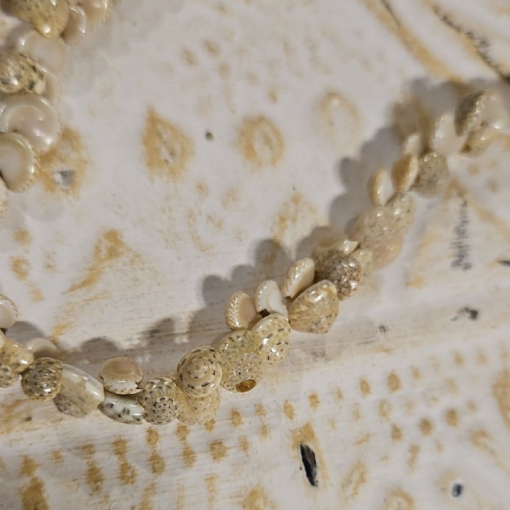 Shell Necklace - Picture 4 of 4